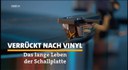 Vinyl - das schwarze Fieber